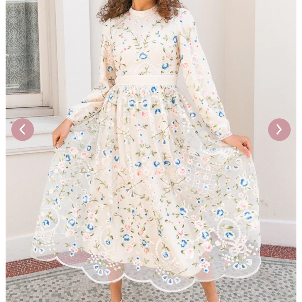 Ivy City Co Garden Party dress size large